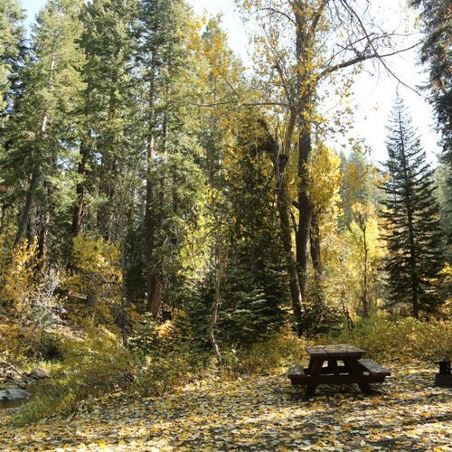 Cold Springs Campground