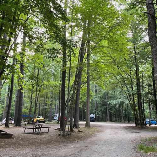 Cataloochee Campground