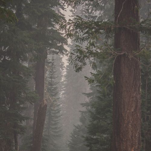 Viewpoint