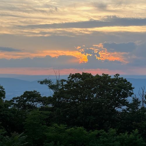 Viewpoint