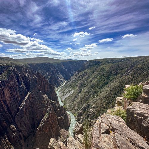 Viewpoint