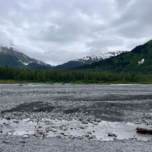 Exit Glacier Overlook