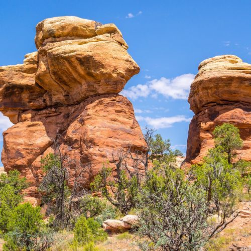 Trail Arch
