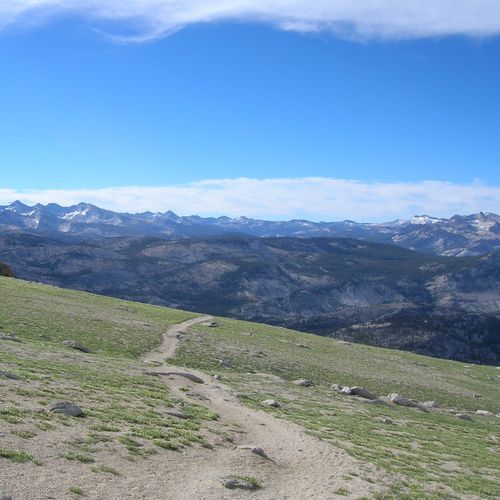 Mt. Hoffmann Trail