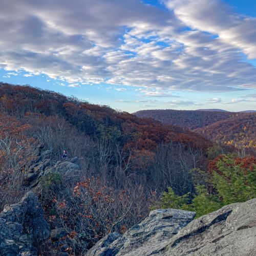The Point Overlook