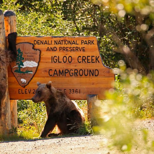 Igloo Creek