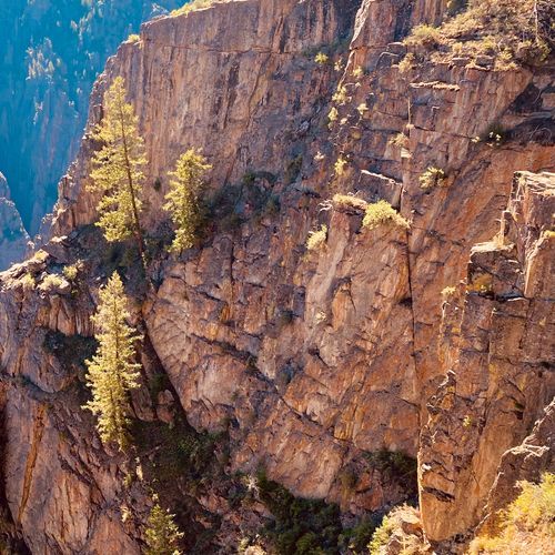Viewpoint