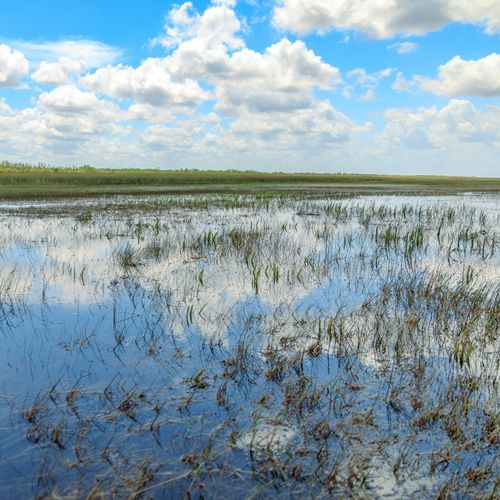 Coopertown Airboat