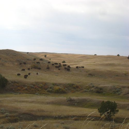 Sage Creek