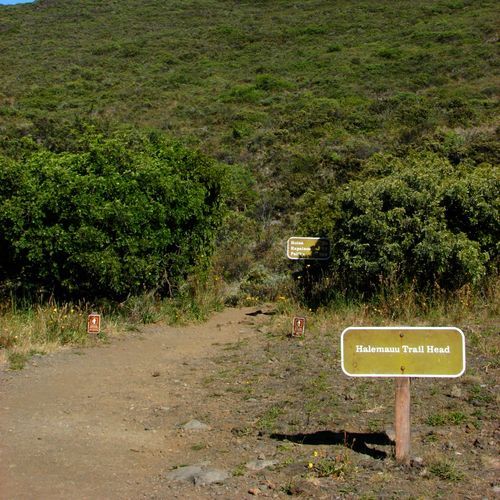 Halemau’u Trailhead
