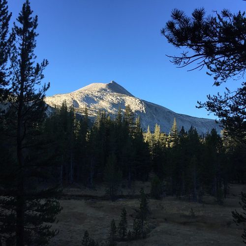 Mono Pass Trail