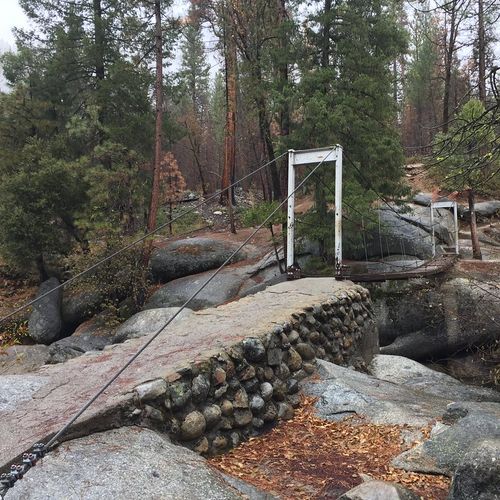 Swinging Bridge Trail