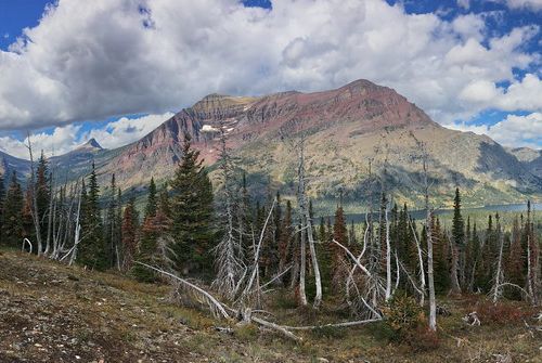 Viewpoint