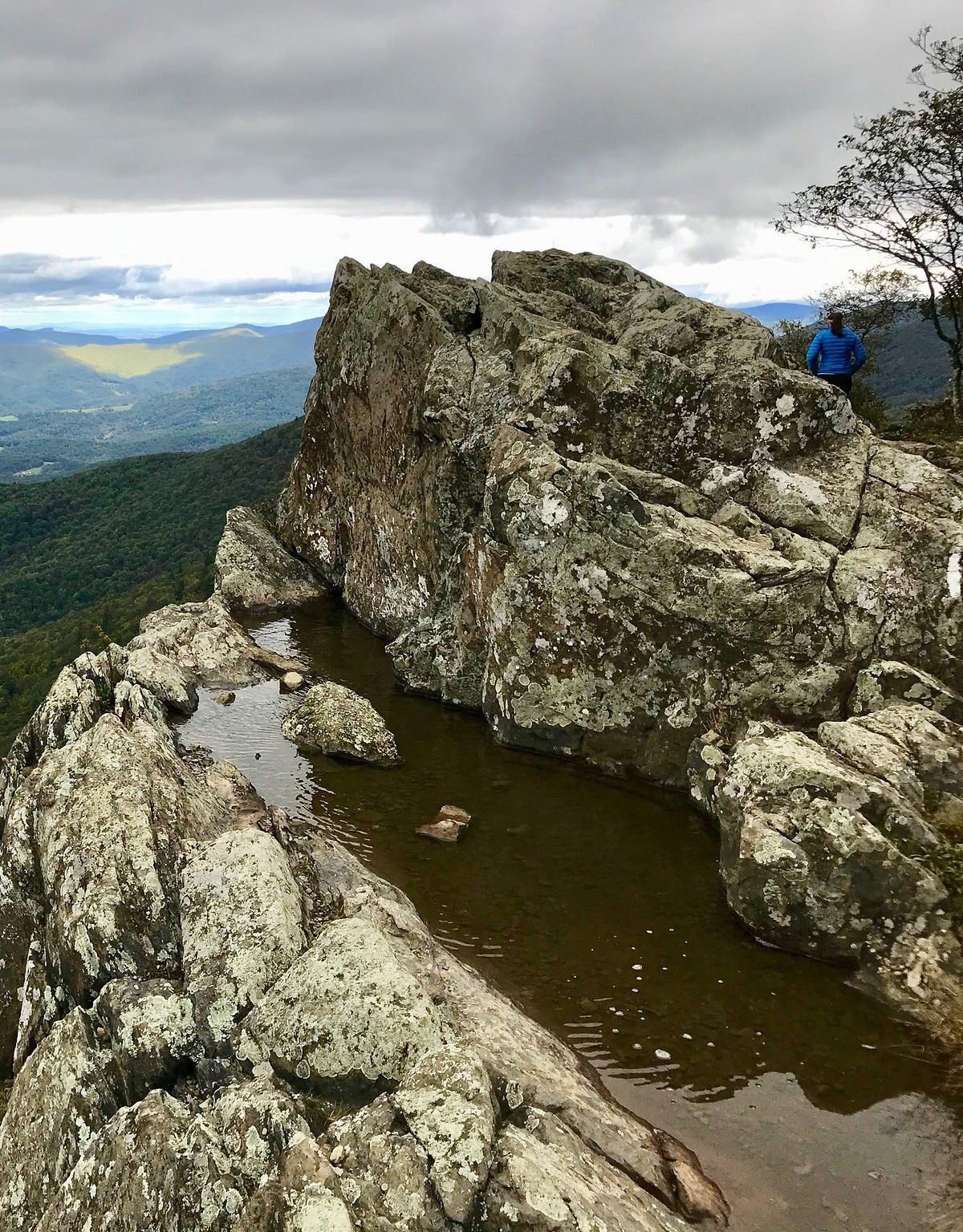 Passamaquoddy Trail, Shenandoah National Park