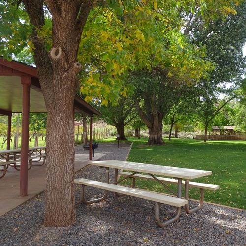 Group Campsite