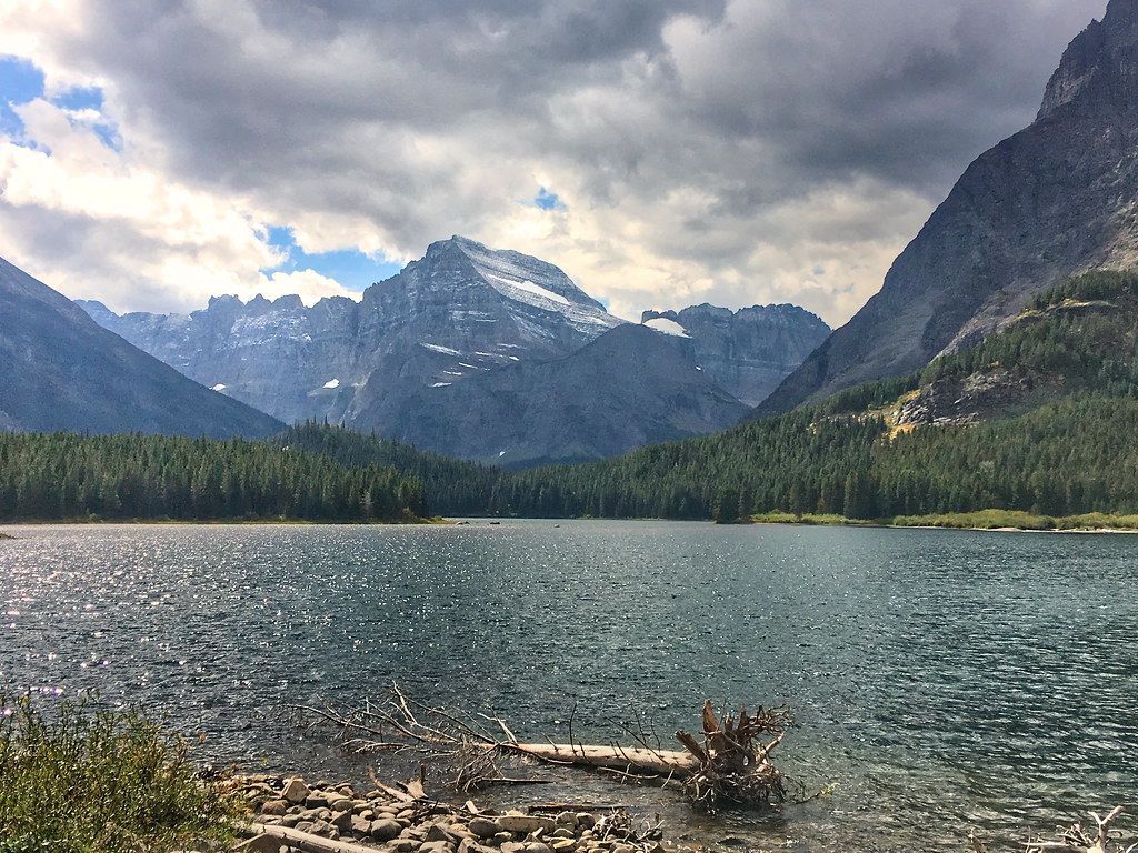Swiftcurrent Nature Trail, Glacier National Park