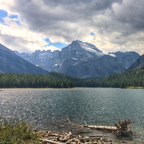 Swiftcurrent Nature Trail