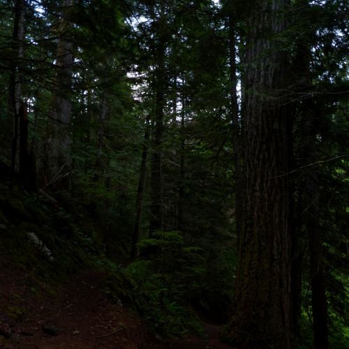 Fisher-Thunder-Park-Cascade Cross-Park Trek