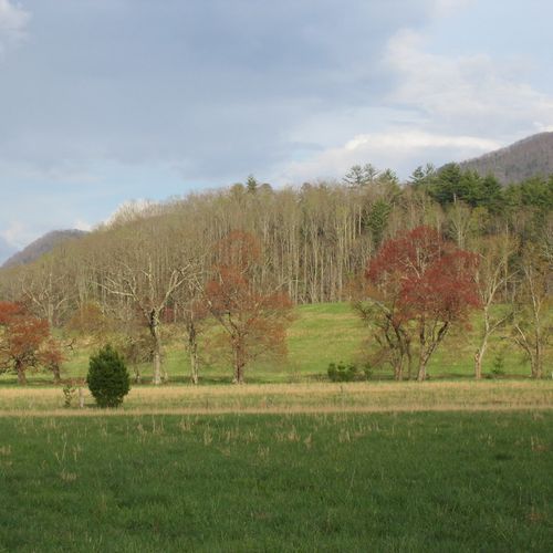 Cades Cove Loop Road
