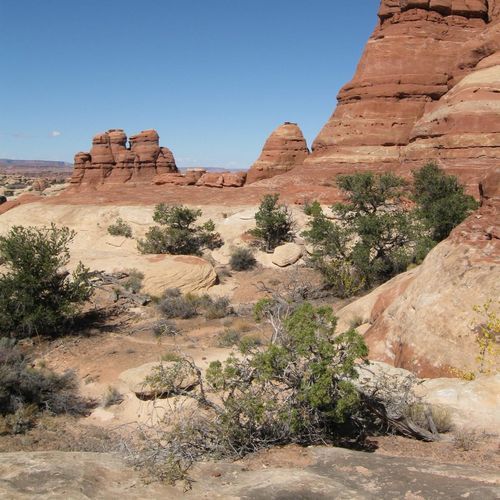 Elephant Hill