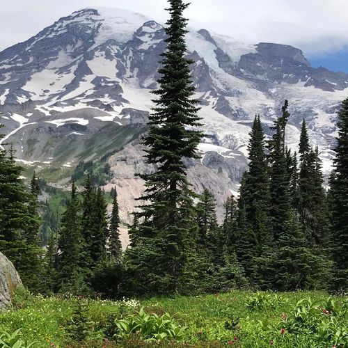 Nisqually Vista Trail
