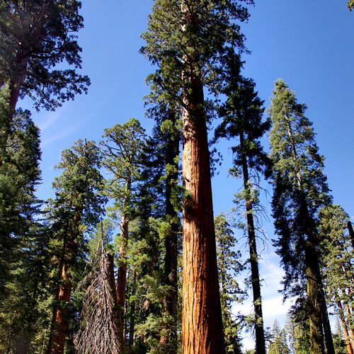 Crescent Meadow