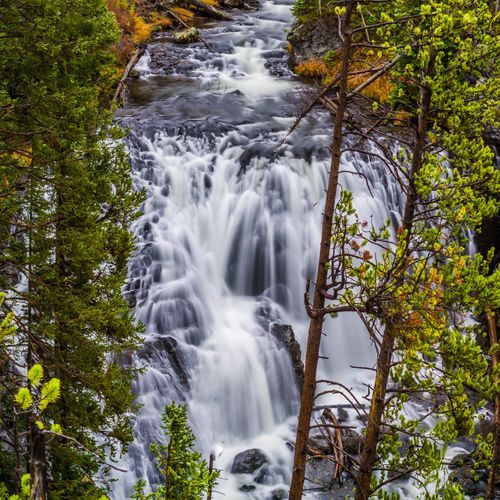 Kepler Cascades
