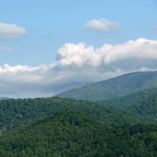 Cataloochee Valley Viewpoint