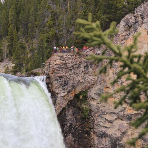 Brink of the Lower Falls