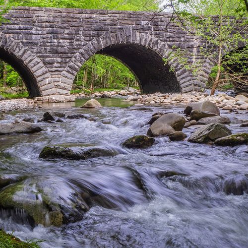 Elkmont Group Campground