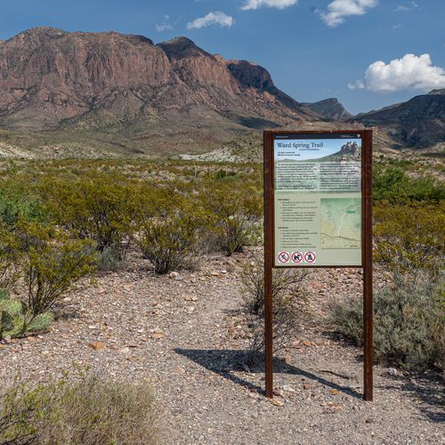 Ward Spring Trail