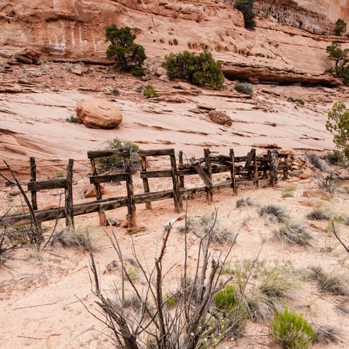 Neck Spring Trail