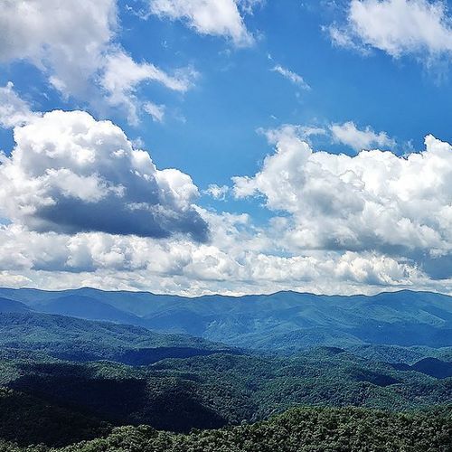 Viewpoint