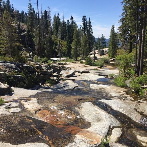 Chilnualna Creek Cascades viewpoint