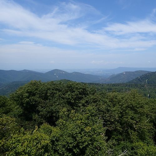 Viewpoint