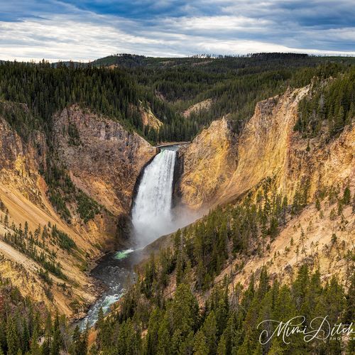 Lower Yellowstone Falls