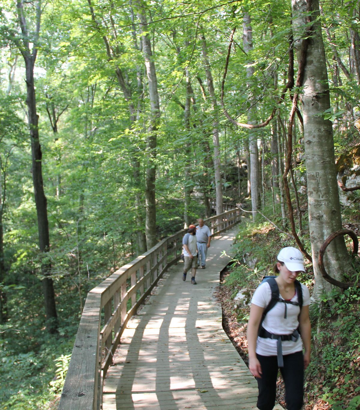 Echo River Springs Trail, Mammoth Cave National Park