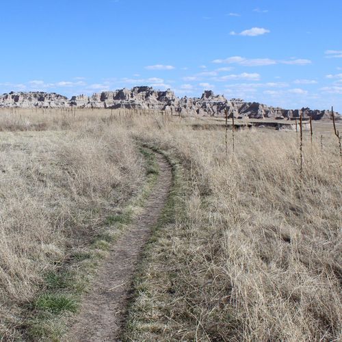 Medicine Root Trail