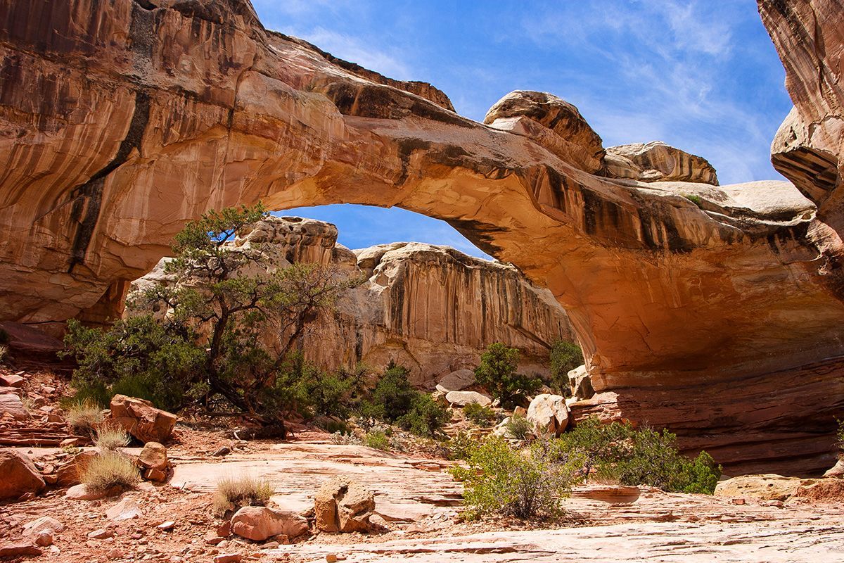 Hickman Bridge, Cassidy Arch and Beyond, Capitol Reef National Park