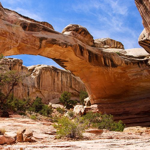 Arch
