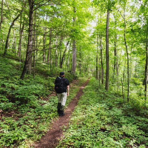 Bearfence Mountain Trail