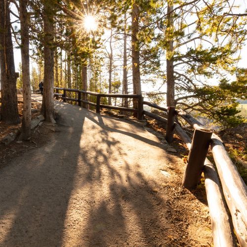 Brink of the Lower Falls Trail