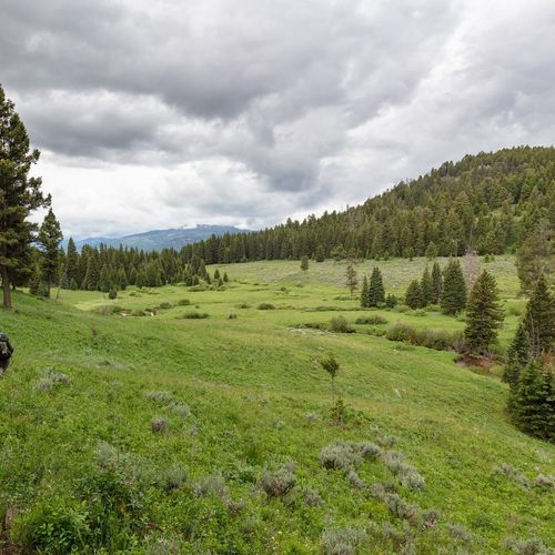 Coyote Creek Trail