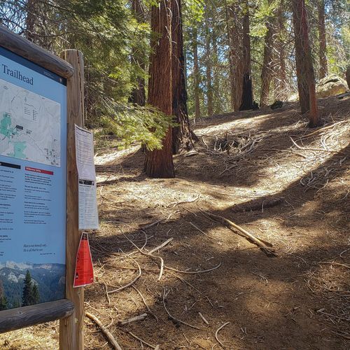 Paradise Trail