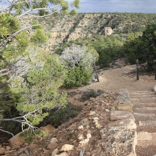 Tanner Trail