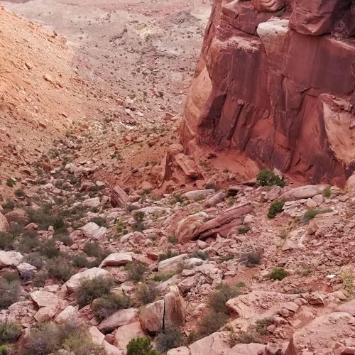 Wilhite Trail