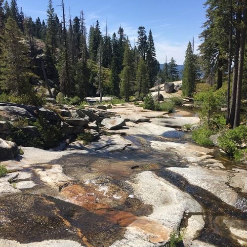 Chilnualna Fall viewpoint