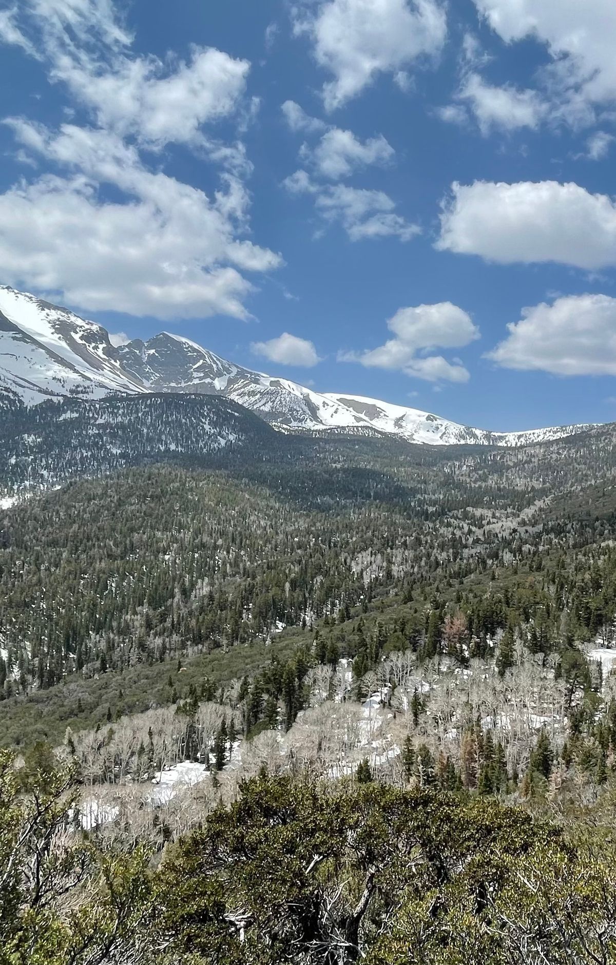 Twelve Miles Up the Wheeler Peak Scenic Drive, Great Basin National Park