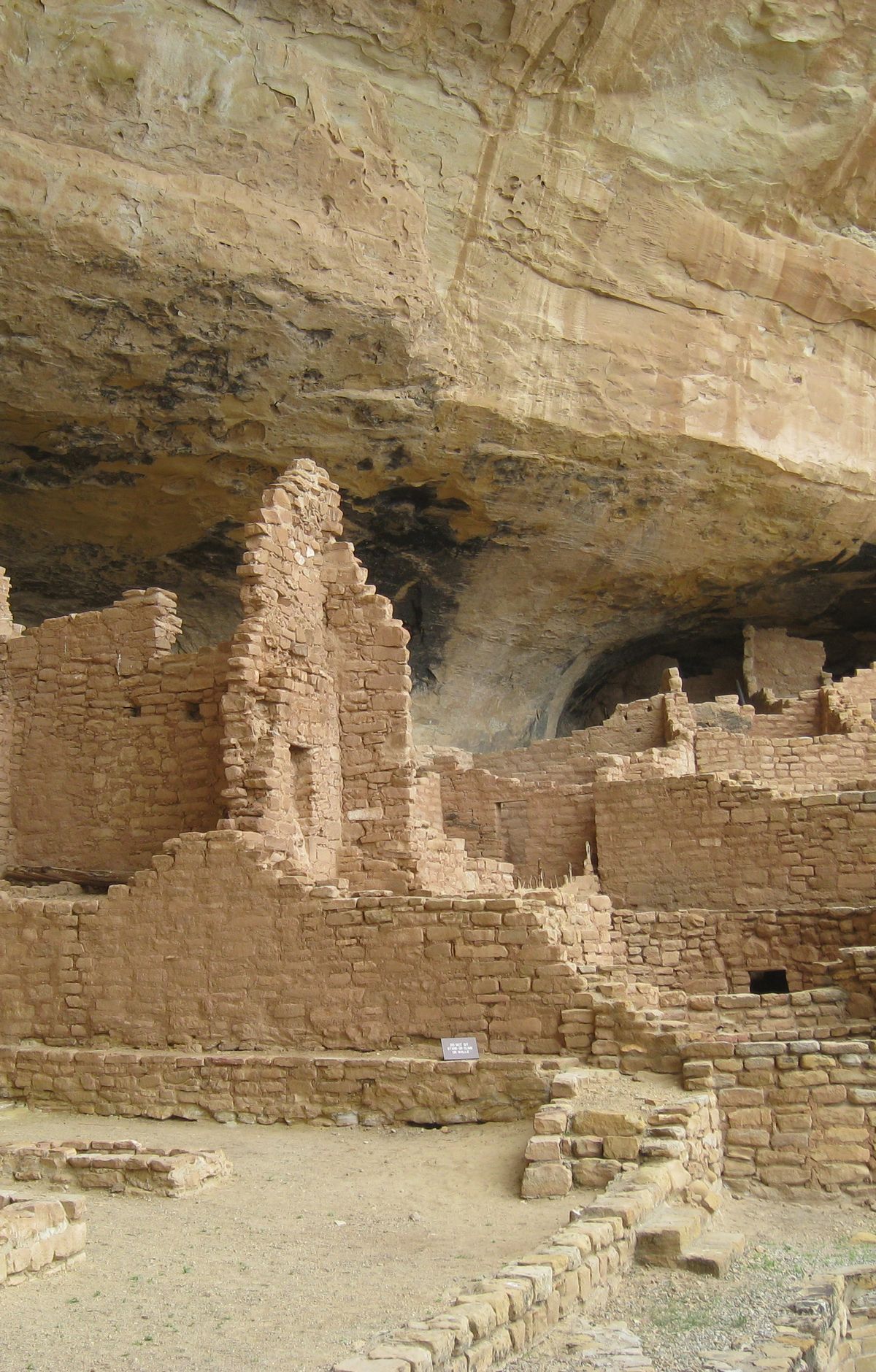 Wetherill Mesa: Tram, Step House, Long House, Mesa Verde National Park