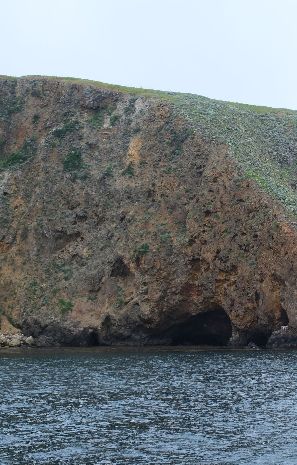 Scorpion Anchorage to Cavern Point and Potato Harbor, Channel Islands National Park